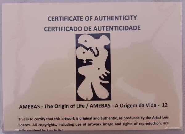 12 Amebas
