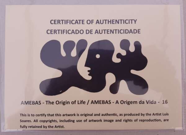 16 Amebas