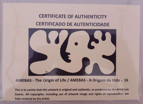 16 Amebas