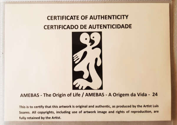 24 Amebas
