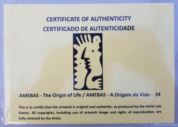 34 Amebas