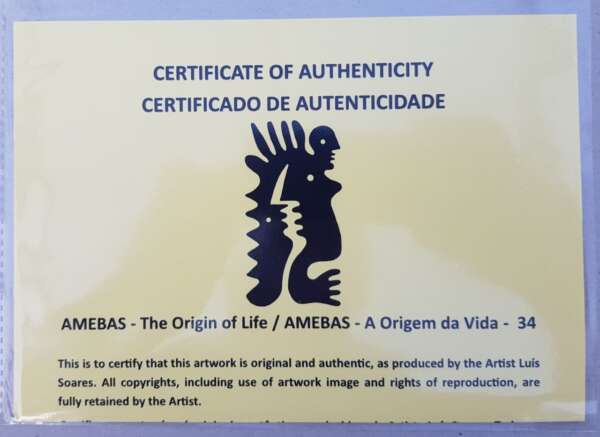 34 Amebas