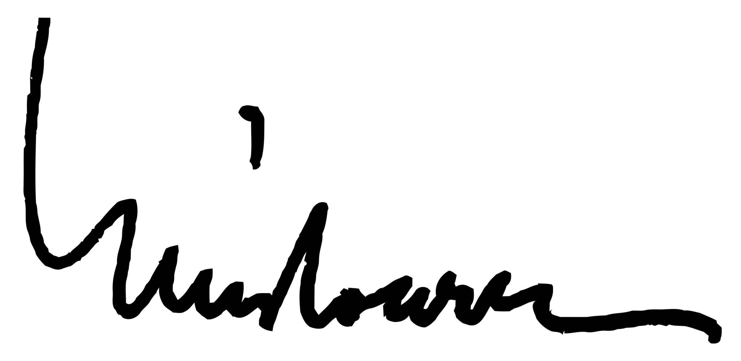 Assinatura LS