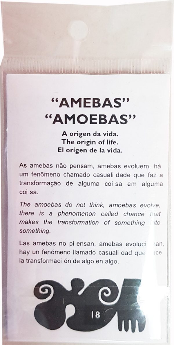 Ímanes Amebas Folheto
